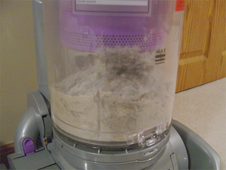 results after vacuuming with a Dyson